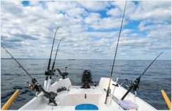 2017-01-15-16_12_59-Salmon-Fishing-Pictures-Images-and-Stock-Photos-iStock